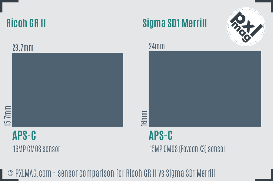 Ricoh GR II vs Sigma SD1 Merrill sensor size comparison