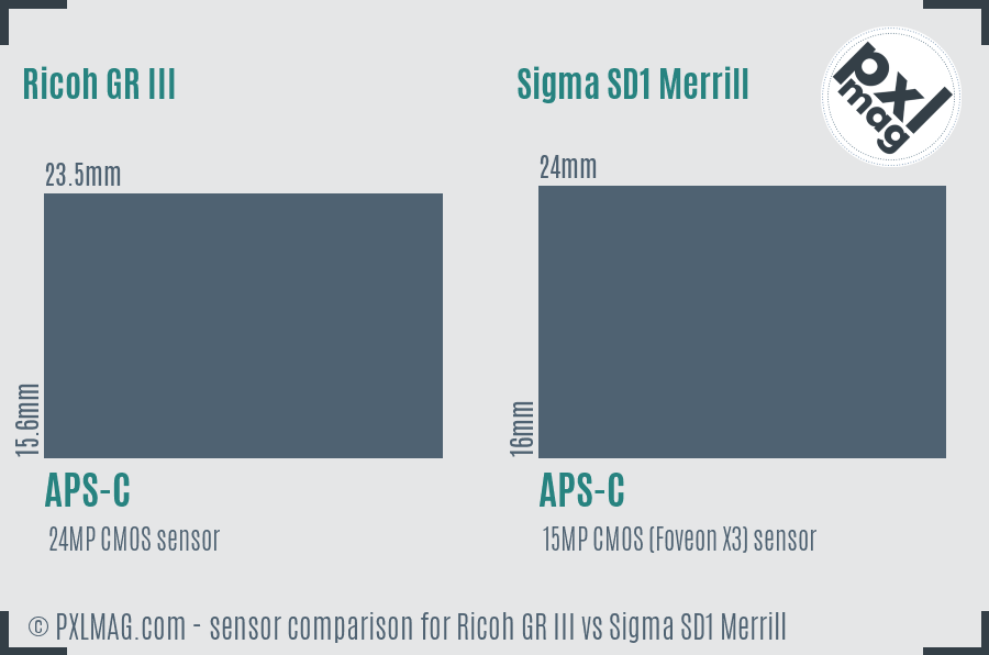 Ricoh GR III vs Sigma SD1 Merrill sensor size comparison