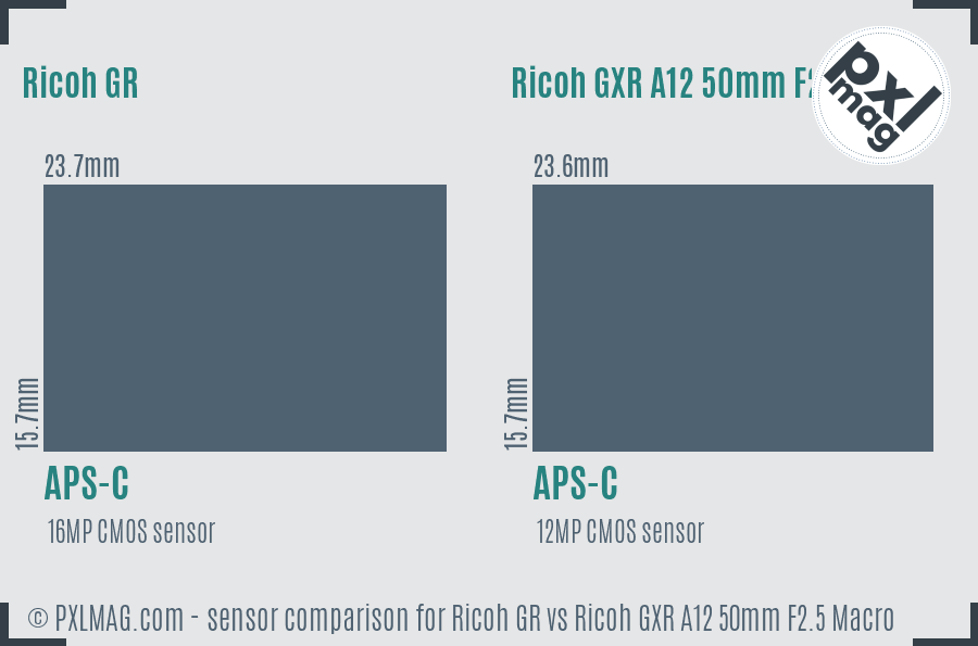 Ricoh GR vs Ricoh GXR A12 50mm F2.5 Macro sensor size comparison