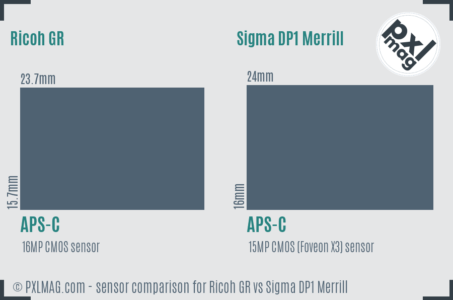 Ricoh GR vs Sigma DP1 Merrill sensor size comparison