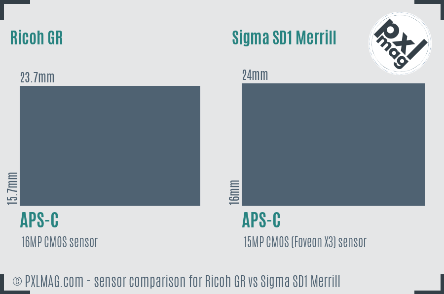 Ricoh GR vs Sigma SD1 Merrill sensor size comparison