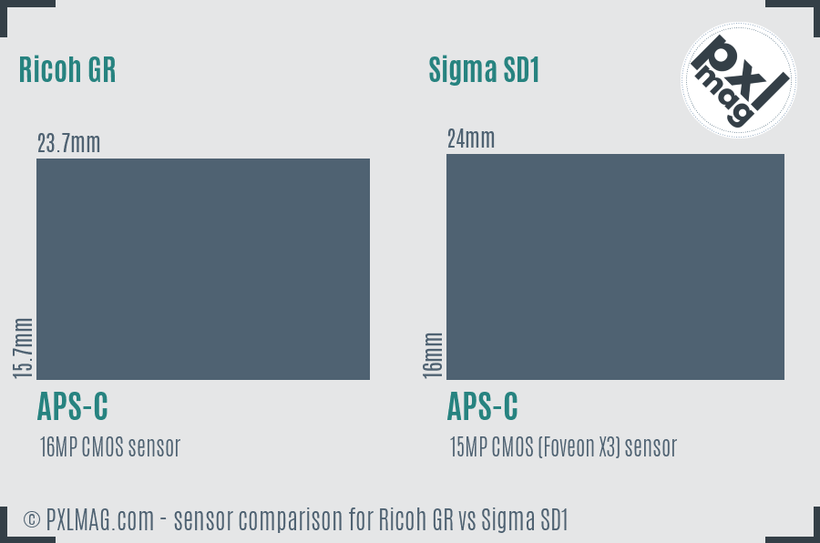 Ricoh GR vs Sigma SD1 sensor size comparison