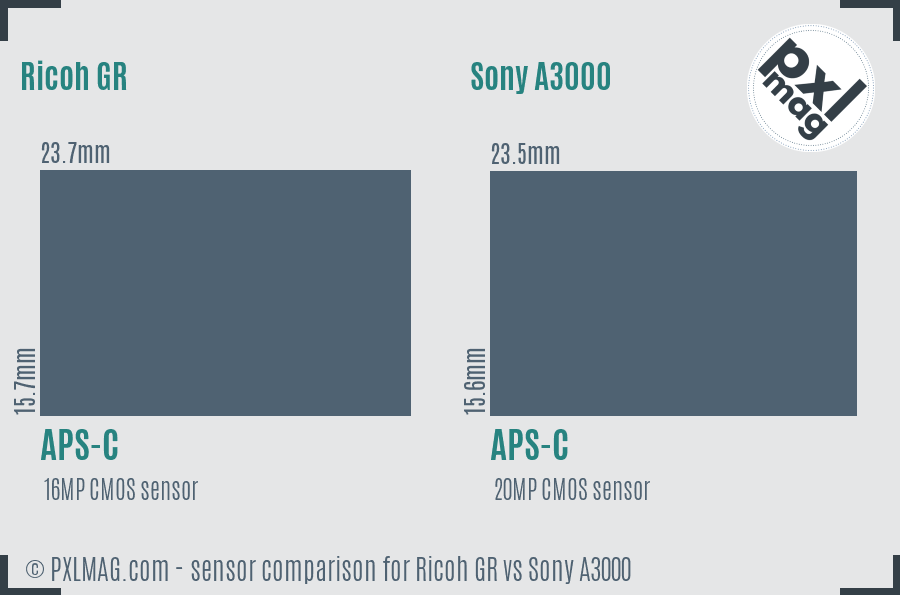 Ricoh GR vs Sony A3000 sensor size comparison