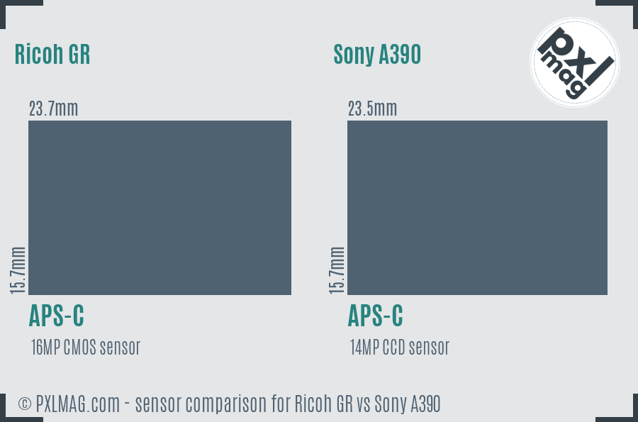 Ricoh GR vs Sony A390 sensor size comparison