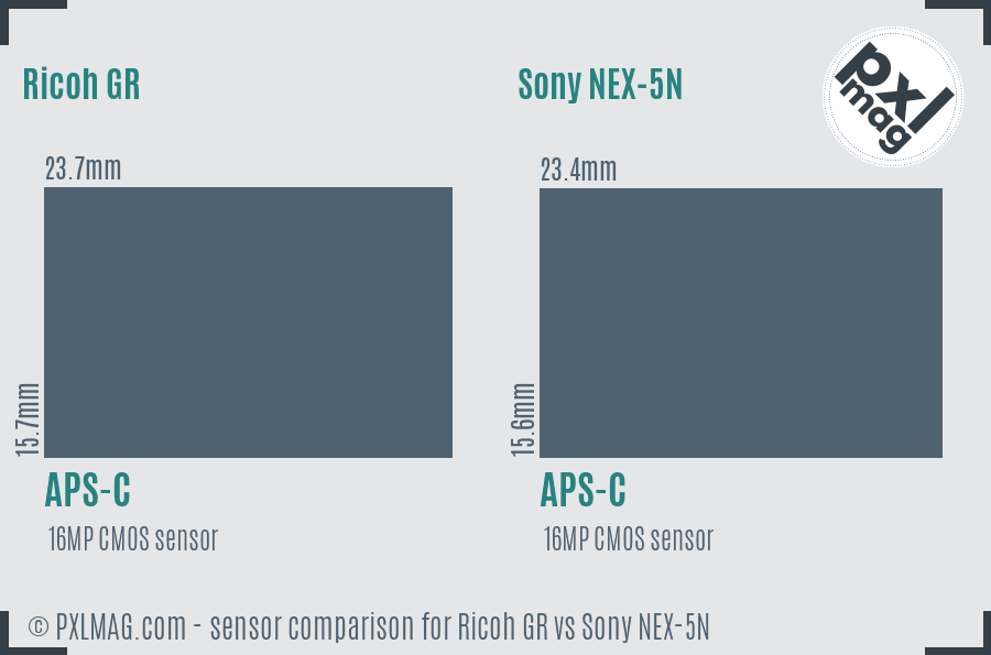 Ricoh GR vs Sony NEX-5N sensor size comparison