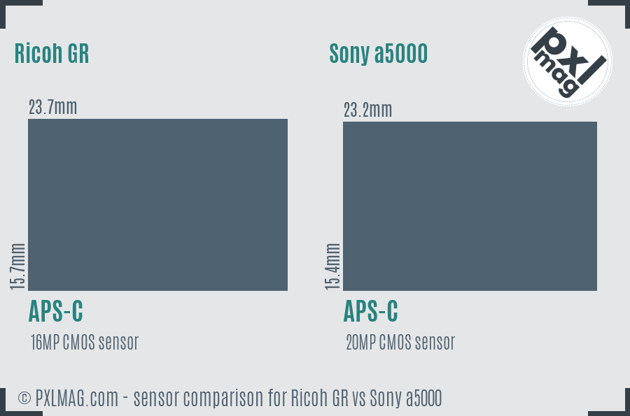 Ricoh GR vs Sony a5000 sensor size comparison