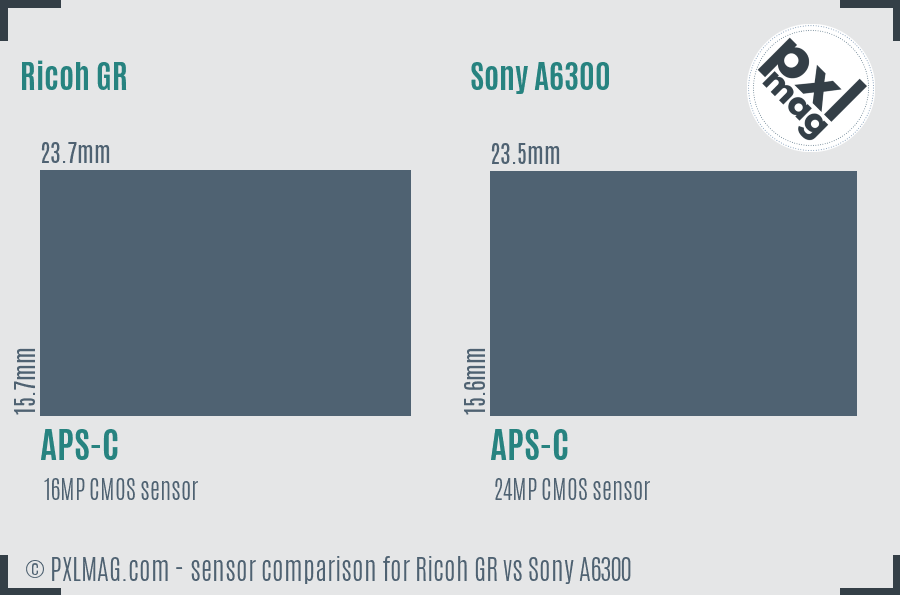 Ricoh GR vs Sony A6300 sensor size comparison