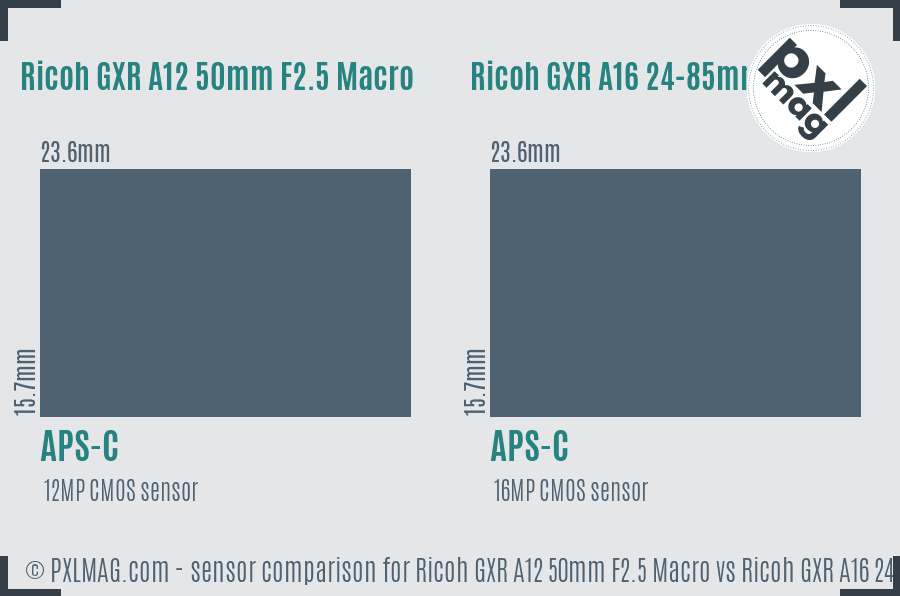 Ricoh GXR A12 50mm F2.5 Macro vs Ricoh GXR A16 24-85mm F3.5-5.5 sensor size comparison