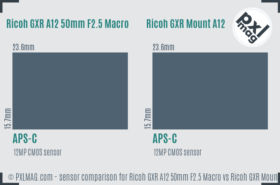 Ricoh GXR A12 50mm F2.5 Macro vs Ricoh GXR Mount A12 sensor size comparison