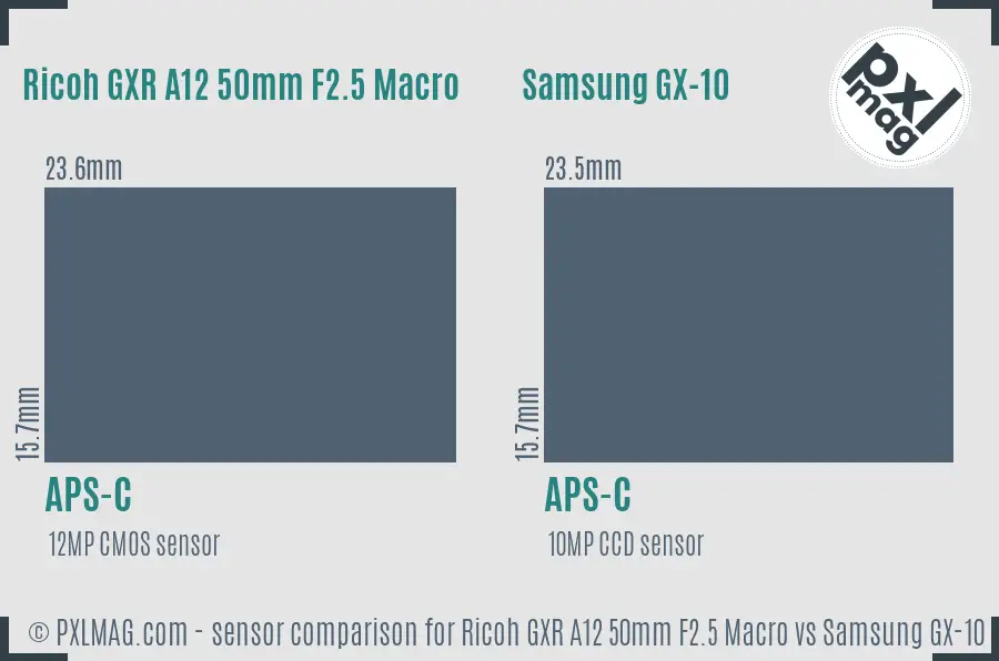 Ricoh GXR A12 50mm F2.5 Macro vs Samsung GX-10 sensor size comparison