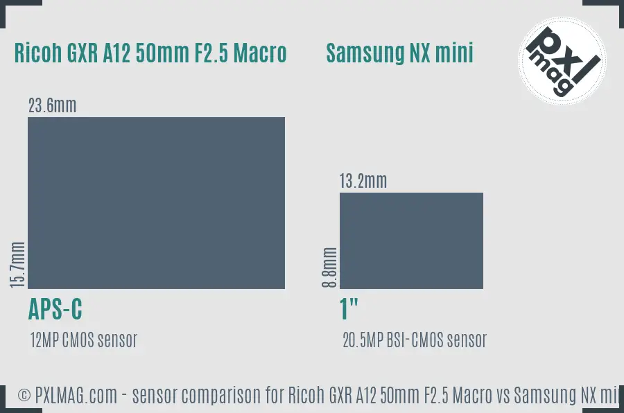Ricoh GXR A12 50mm F2.5 Macro vs Samsung NX mini sensor size comparison