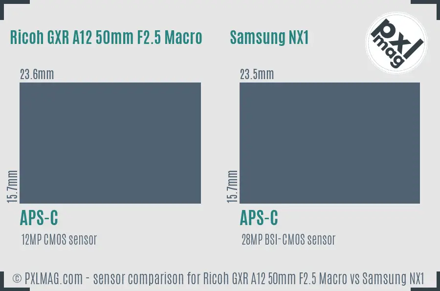 Ricoh GXR A12 50mm F2.5 Macro vs Samsung NX1 sensor size comparison