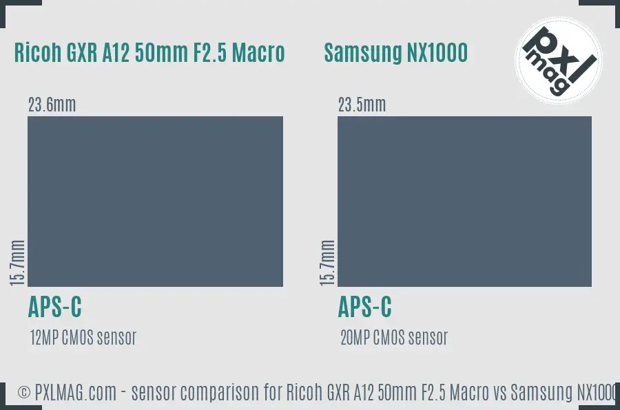 Ricoh GXR A12 50mm F2.5 Macro vs Samsung NX1000 sensor size comparison