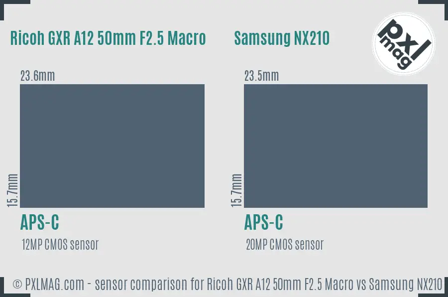 Ricoh GXR A12 50mm F2.5 Macro vs Samsung NX210 sensor size comparison