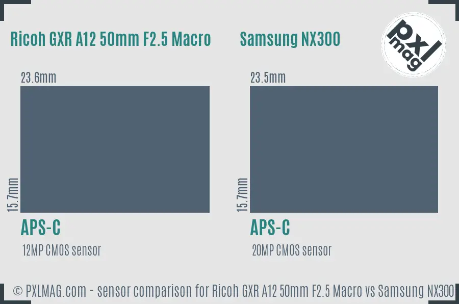 Ricoh GXR A12 50mm F2.5 Macro vs Samsung NX300 sensor size comparison