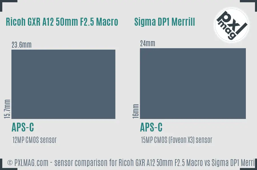 Ricoh GXR A12 50mm F2.5 Macro vs Sigma DP1 Merrill sensor size comparison