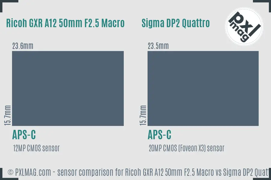 Ricoh GXR A12 50mm F2.5 Macro vs Sigma DP2 Quattro sensor size comparison