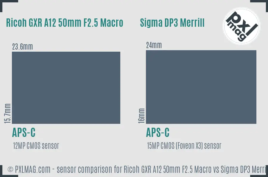 Ricoh GXR A12 50mm F2.5 Macro vs Sigma DP3 Merrill sensor size comparison