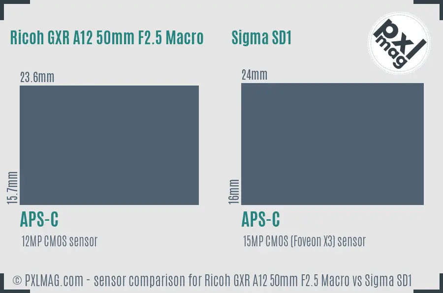 Ricoh GXR A12 50mm F2.5 Macro vs Sigma SD1 sensor size comparison