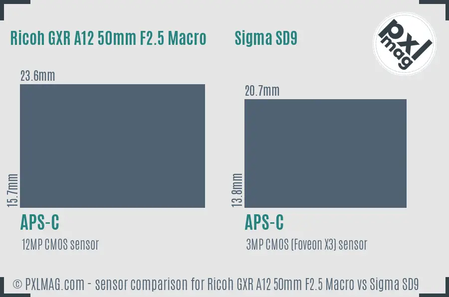 Ricoh GXR A12 50mm F2.5 Macro vs Sigma SD9 sensor size comparison