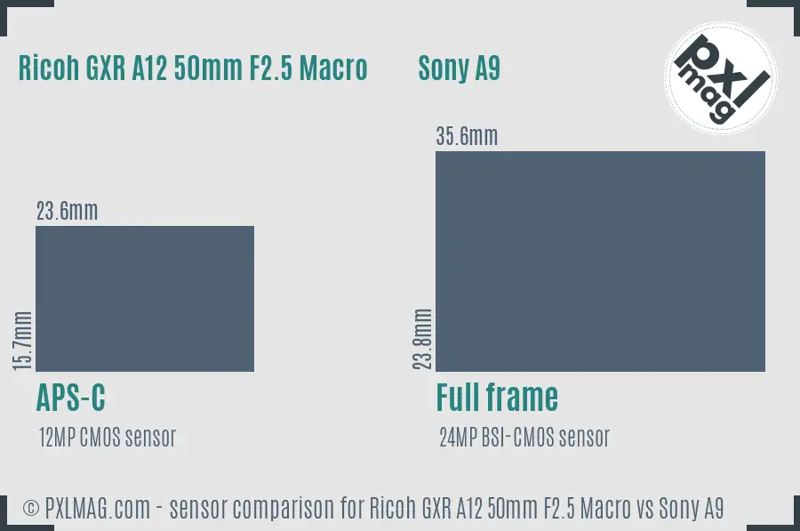 Ricoh GXR A12 50mm F2.5 Macro vs Sony A9 sensor size comparison