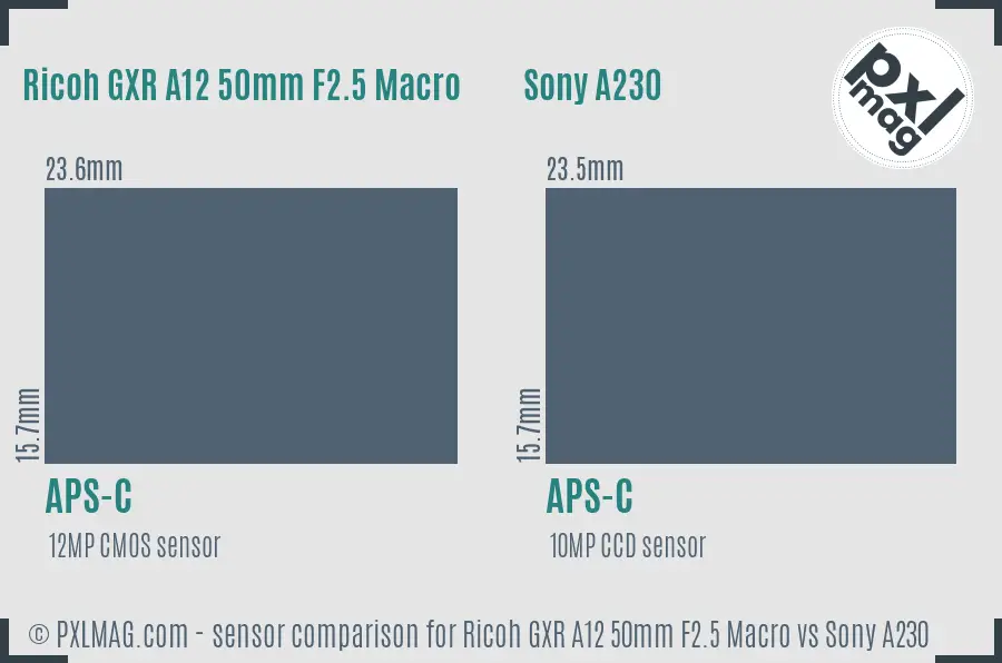 Ricoh GXR A12 50mm F2.5 Macro vs Sony A230 sensor size comparison