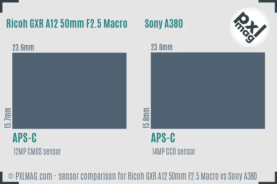 Ricoh GXR A12 50mm F2.5 Macro vs Sony A380 sensor size comparison