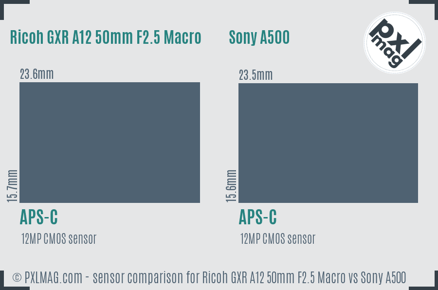 Ricoh GXR A12 50mm F2.5 Macro vs Sony A500 sensor size comparison