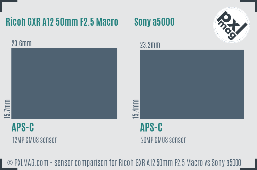 Ricoh GXR A12 50mm F2.5 Macro vs Sony a5000 sensor size comparison