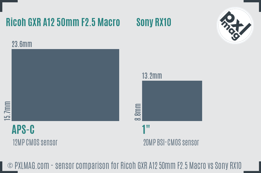Ricoh GXR A12 50mm F2.5 Macro vs Sony RX10 sensor size comparison