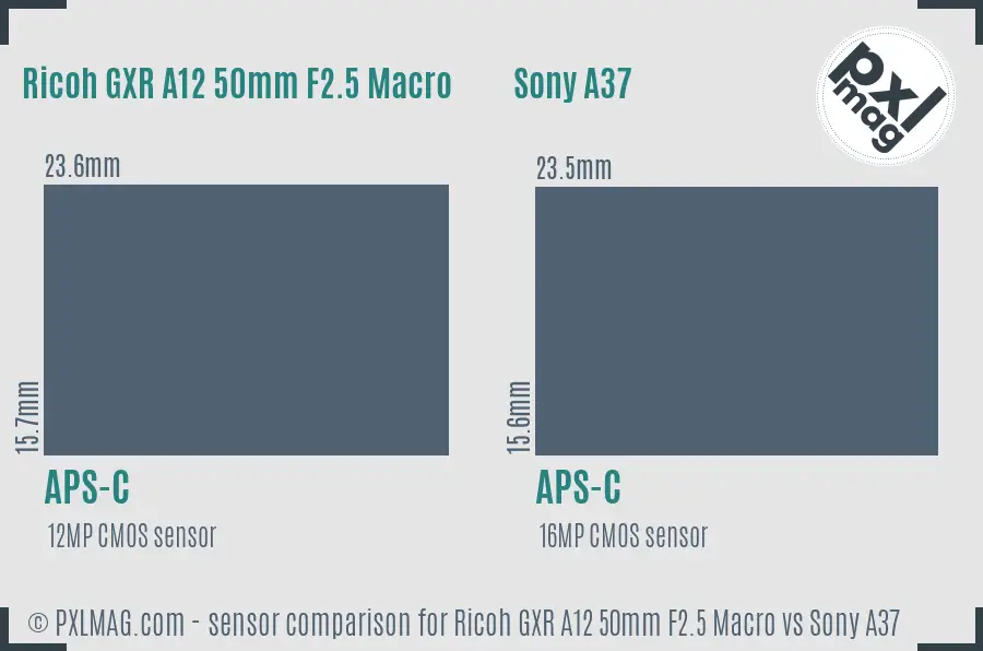 Ricoh GXR A12 50mm F2.5 Macro vs Sony A37 sensor size comparison