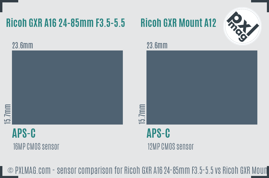 Ricoh GXR A16 24-85mm F3.5-5.5 vs Ricoh GXR Mount A12 sensor size comparison