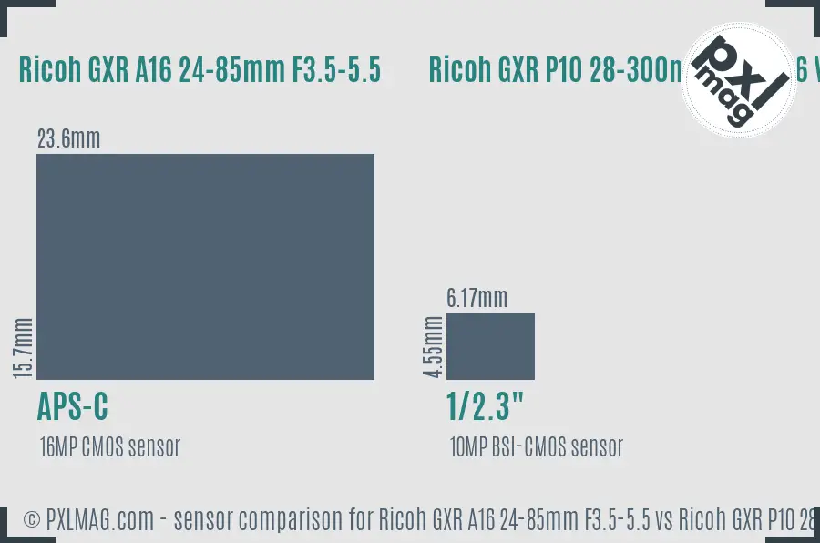 Ricoh GXR A16 24-85mm F3.5-5.5 vs Ricoh GXR P10 28-300mm F3.5-5.6 VC sensor size comparison