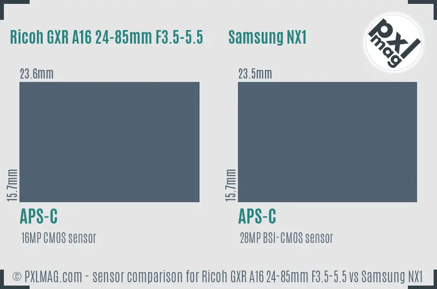 Ricoh GXR A16 24-85mm F3.5-5.5 vs Samsung NX1 sensor size comparison