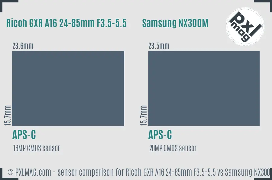 Ricoh GXR A16 24-85mm F3.5-5.5 vs Samsung NX300M sensor size comparison