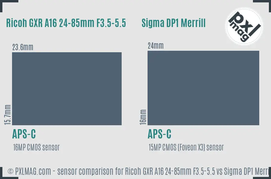 Ricoh GXR A16 24-85mm F3.5-5.5 vs Sigma DP1 Merrill sensor size comparison