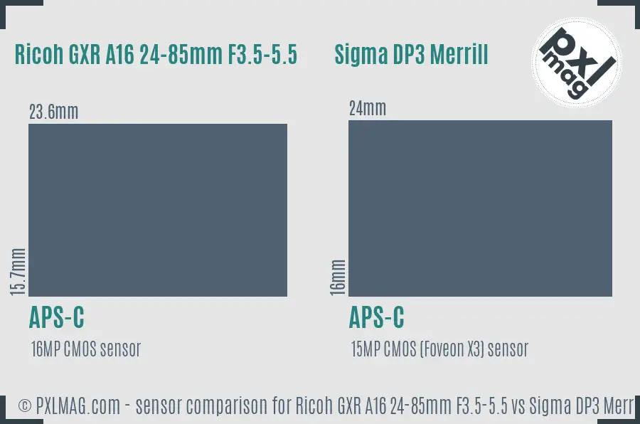 Ricoh GXR A16 24-85mm F3.5-5.5 vs Sigma DP3 Merrill sensor size comparison