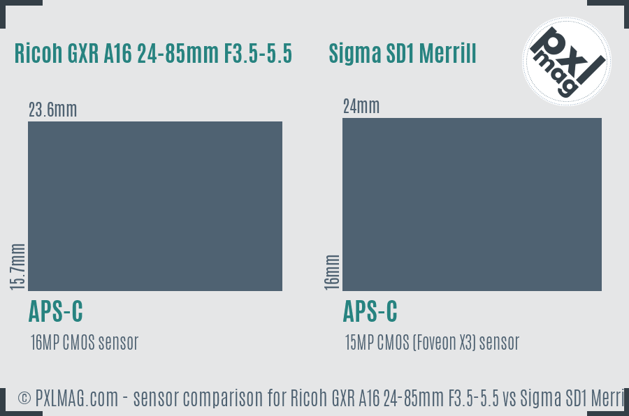 Ricoh GXR A16 24-85mm F3.5-5.5 vs Sigma SD1 Merrill sensor size comparison