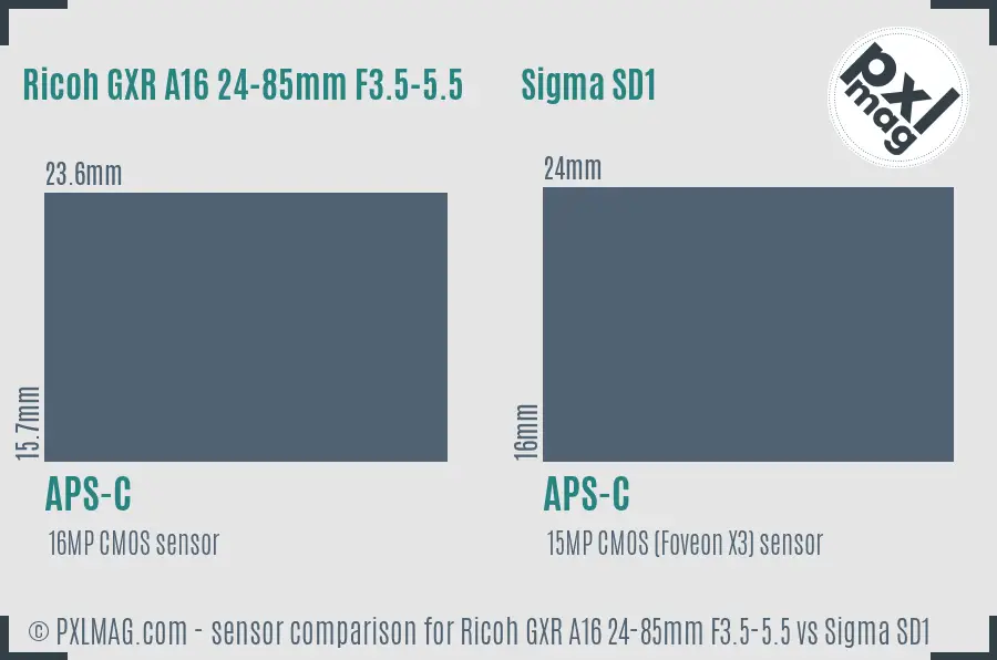 Ricoh GXR A16 24-85mm F3.5-5.5 vs Sigma SD1 sensor size comparison