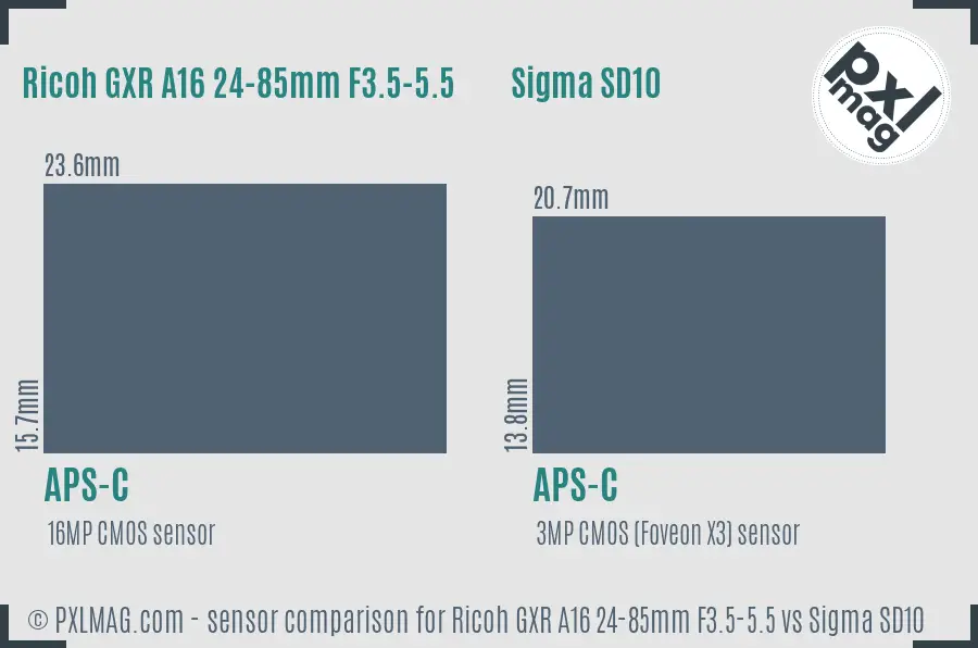 Ricoh GXR A16 24-85mm F3.5-5.5 vs Sigma SD10 sensor size comparison
