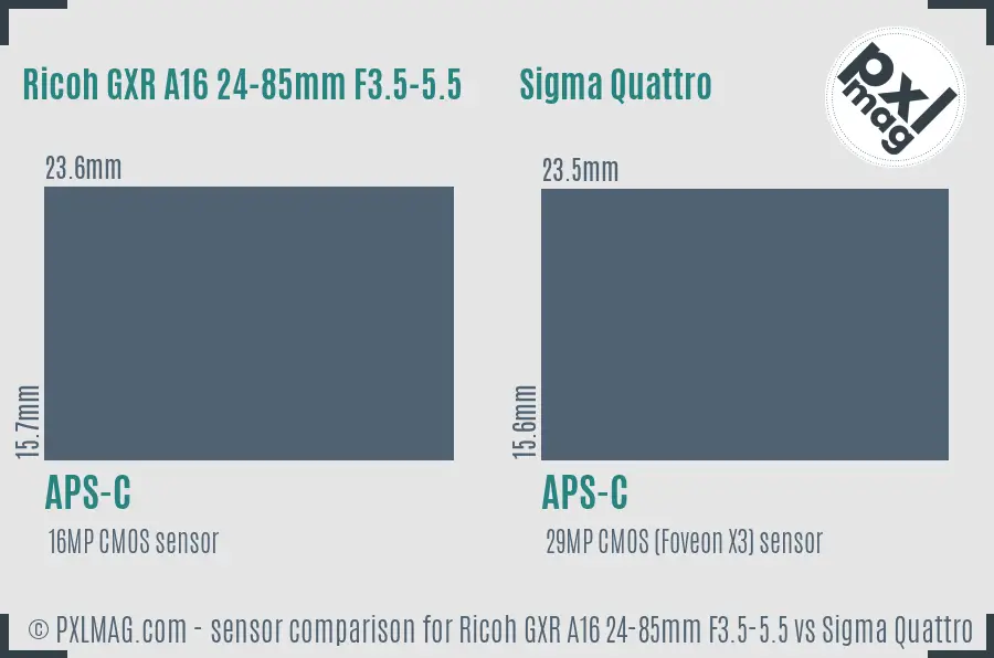 Ricoh GXR A16 24-85mm F3.5-5.5 vs Sigma Quattro sensor size comparison