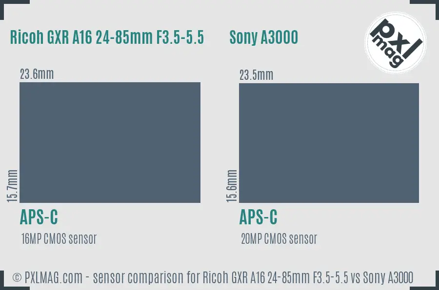 Ricoh GXR A16 24-85mm F3.5-5.5 vs Sony A3000 sensor size comparison