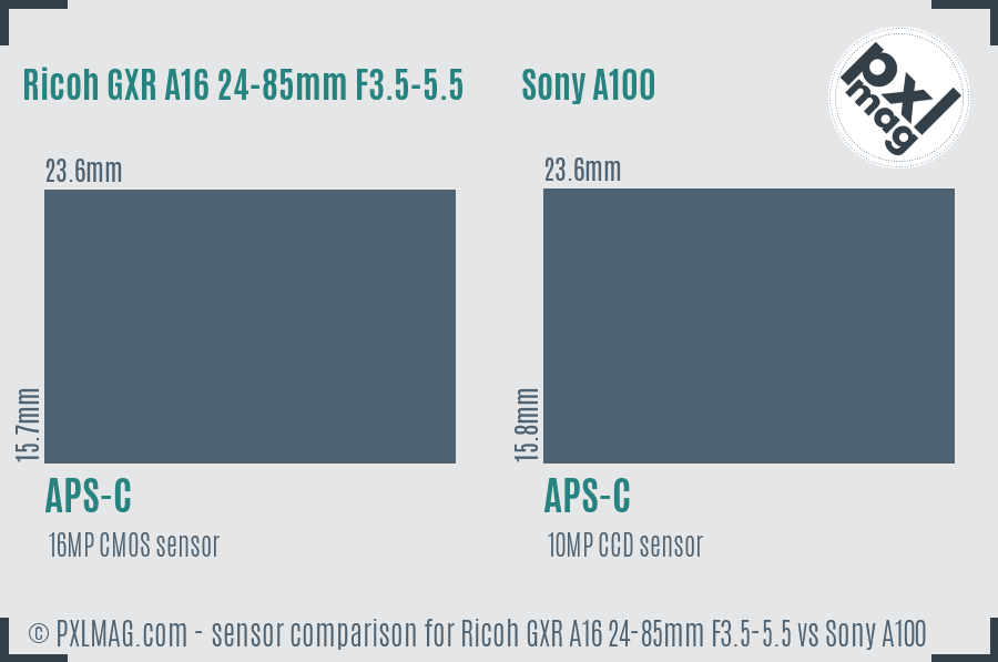 Ricoh GXR A16 24-85mm F3.5-5.5 vs Sony A100 sensor size comparison