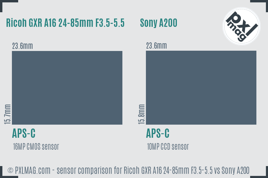 Ricoh GXR A16 24-85mm F3.5-5.5 vs Sony A200 sensor size comparison