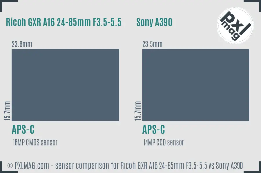 Ricoh GXR A16 24-85mm F3.5-5.5 vs Sony A390 sensor size comparison