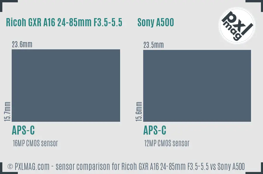 Ricoh GXR A16 24-85mm F3.5-5.5 vs Sony A500 sensor size comparison