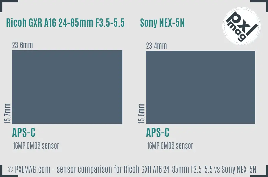 Ricoh GXR A16 24-85mm F3.5-5.5 vs Sony NEX-5N sensor size comparison