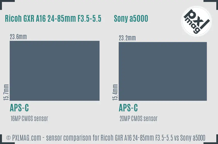 Ricoh GXR A16 24-85mm F3.5-5.5 vs Sony a5000 sensor size comparison