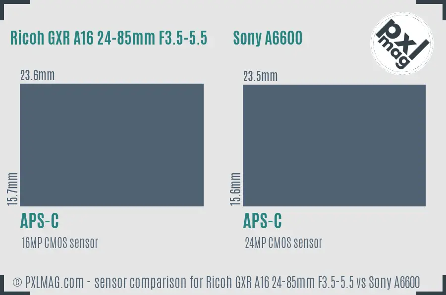Ricoh GXR A16 24-85mm F3.5-5.5 vs Sony A6600 sensor size comparison