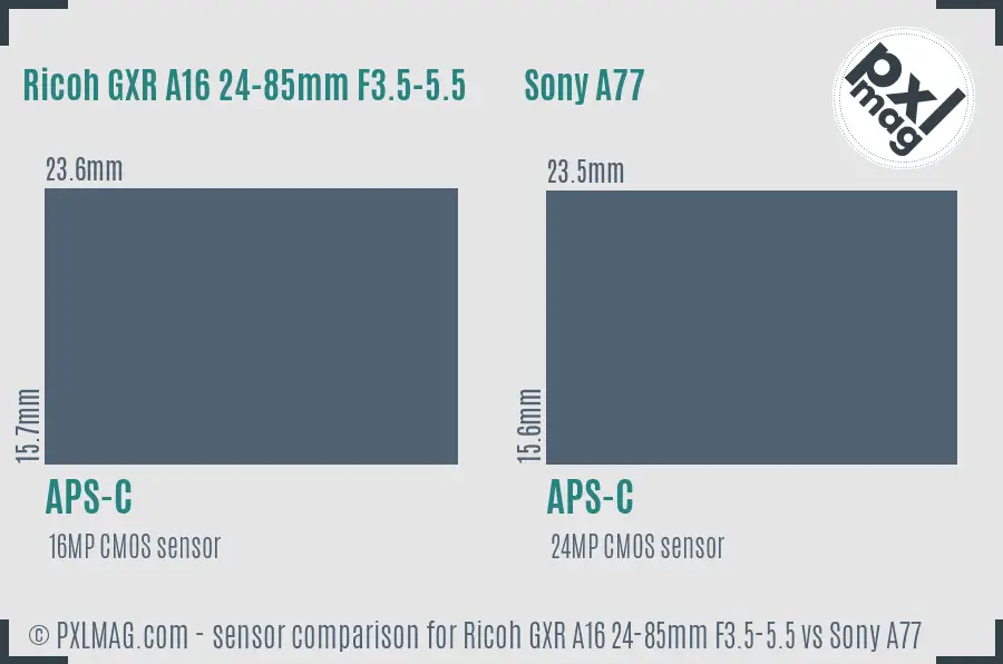 Ricoh GXR A16 24-85mm F3.5-5.5 vs Sony A77 sensor size comparison